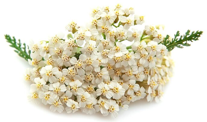 A Gelarex ezer levelet tartalmaz